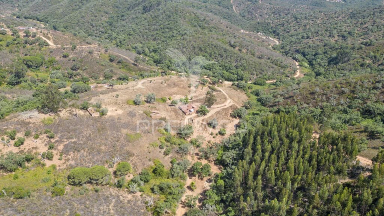 Quinta T3 para Venda em São Salvador e Santa Maria Foto 6