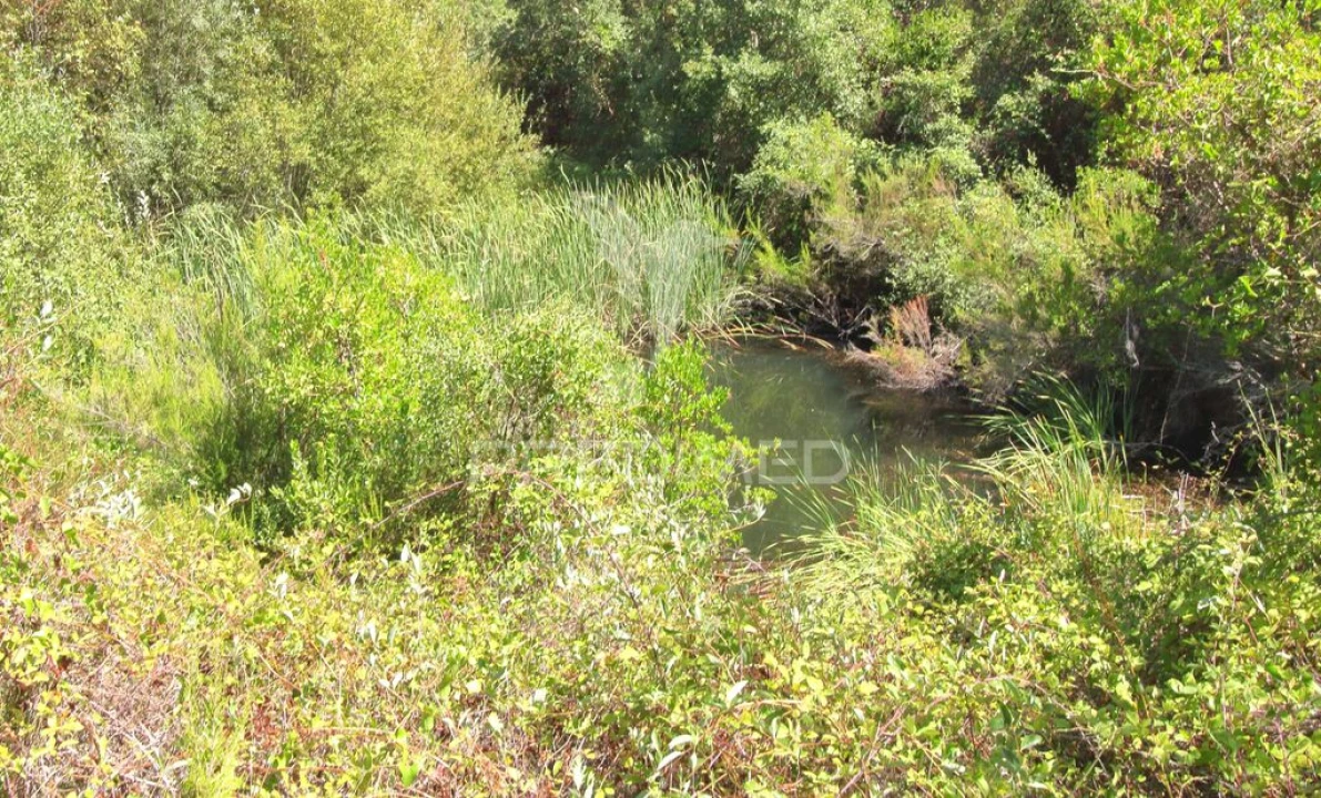 Quinta T3 para Venda em São Salvador e Santa Maria Foto 8