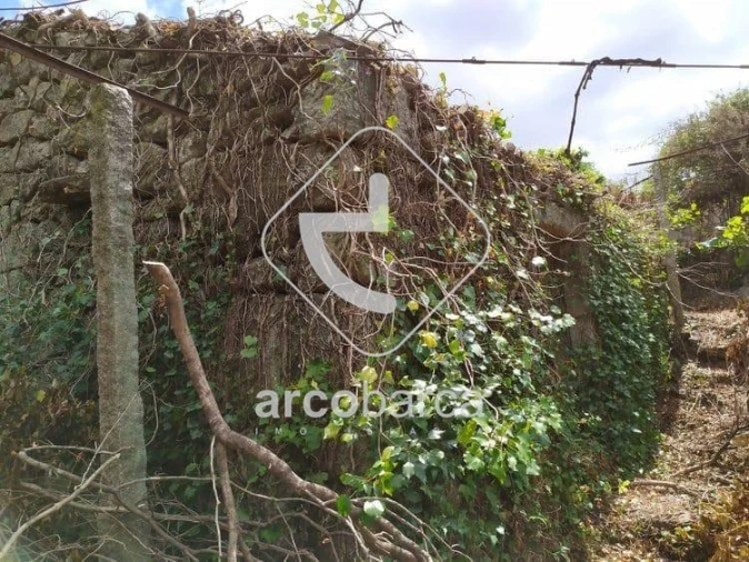Moradia T1 para Venda em Bravães Foto 8