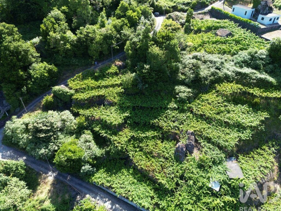 Terreno para Venda em São Vicente Foto 7