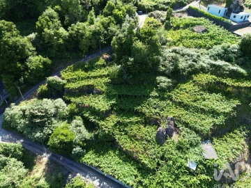 Terreno para Venda em São Vicente