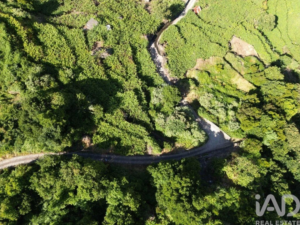 Terreno para Venda em São Vicente Foto 9
