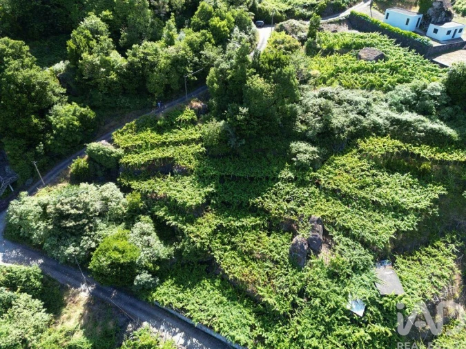 Terreno para Venda em São Vicente Foto 7