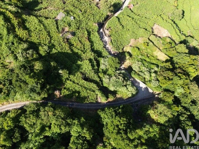 Terreno para Venda em São Vicente Foto 9