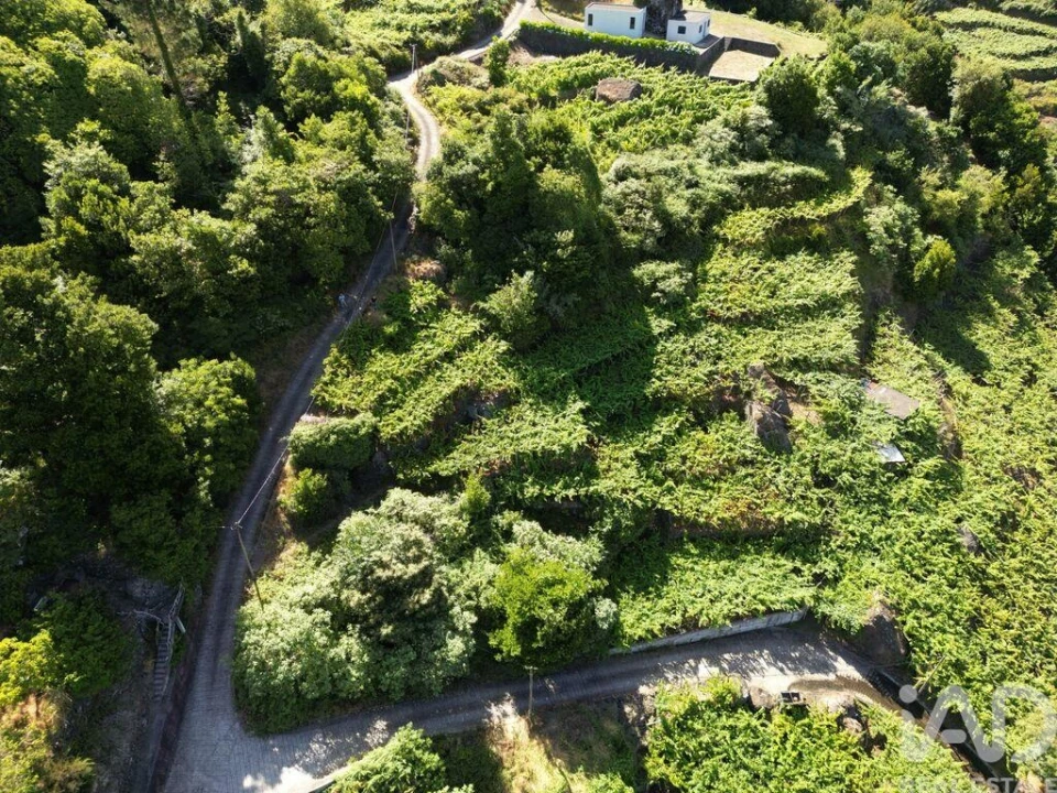 Terreno para Venda em São Vicente Foto 5