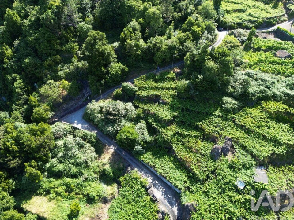 Terreno para Venda em São Vicente Foto 2
