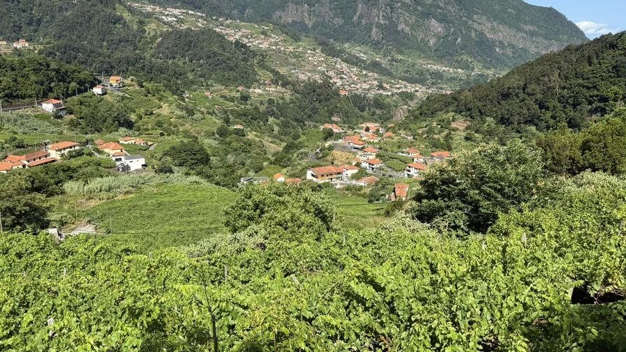 Terreno para Venda em São Vicente