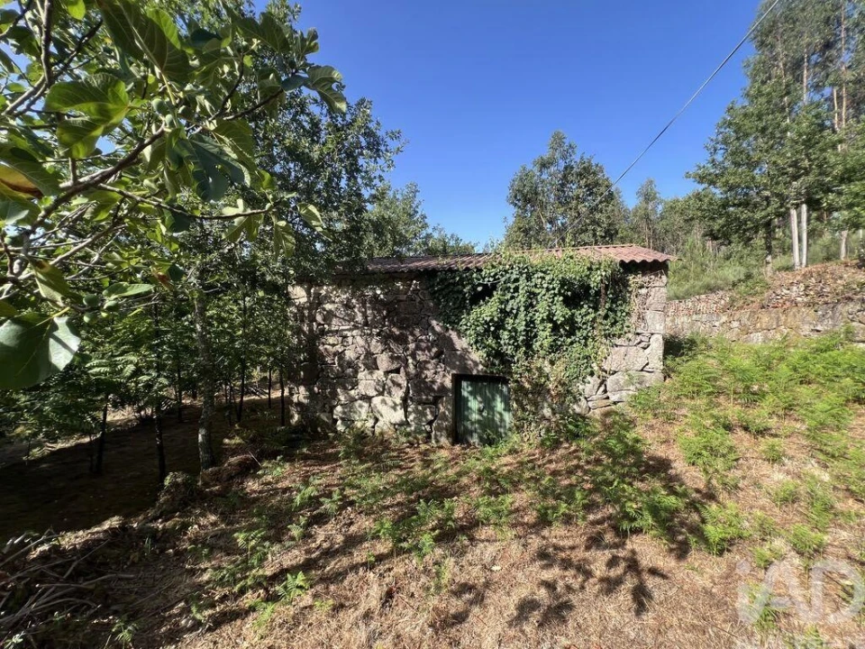 Quinta para Venda em Serrazes Foto 5