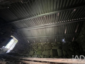 Quinta para Venda em Serrazes