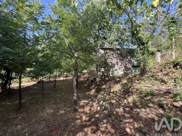 Quinta para Venda em Serrazes