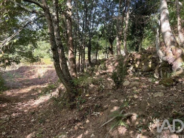 Quinta para Venda em Serrazes