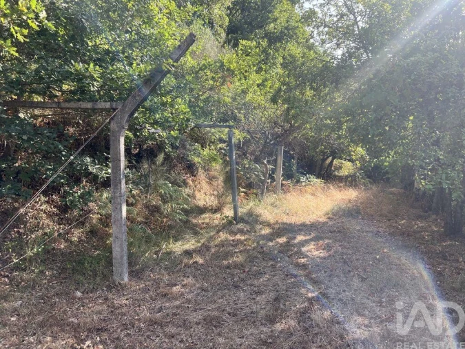 Quinta para Venda em Serrazes Foto 9