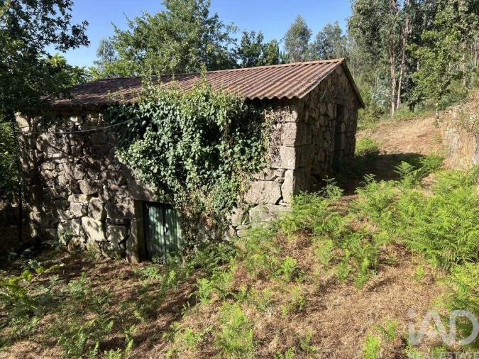 Quinta para Venda em Serrazes Foto 3