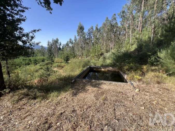 Quinta para Venda em Serrazes Foto 6