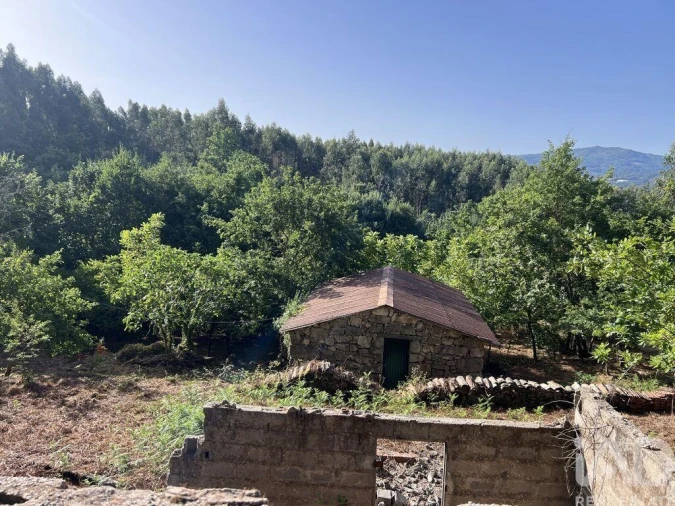 Quinta para Venda em Serrazes Foto 2