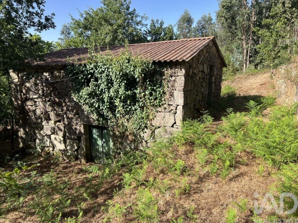 Quinta para Venda em Serrazes Foto 3