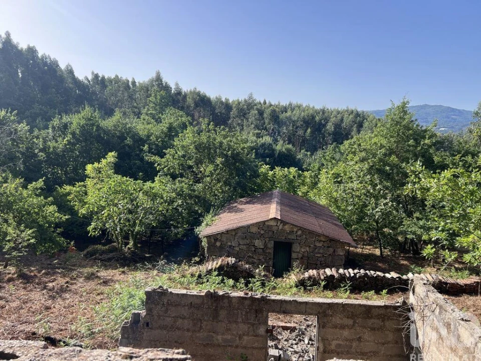 Quinta para Venda em Serrazes Foto 2