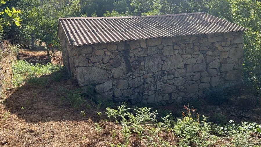 Quinta para Venda em Serrazes