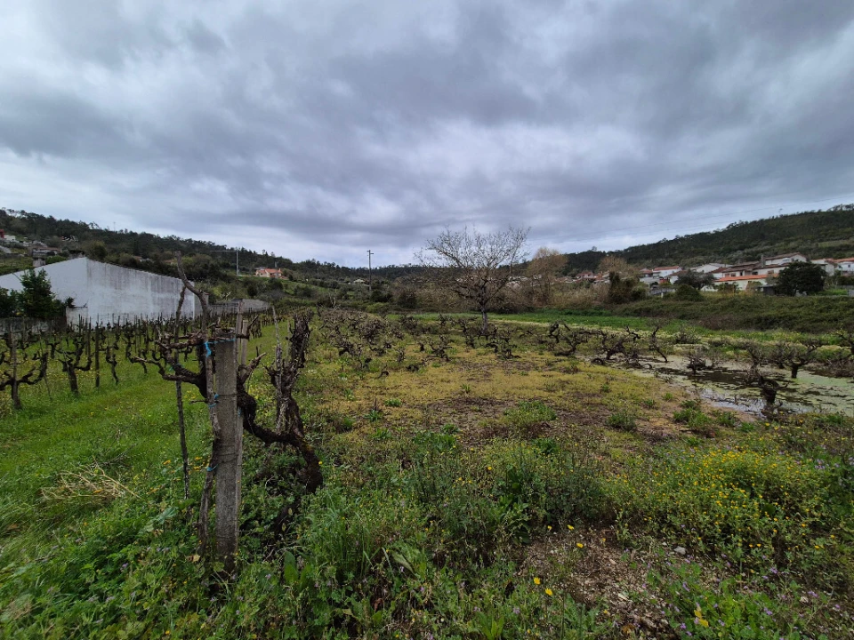 Terreno para Venda em Almalagues Foto 4