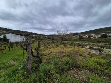 Terreno para Venda em Almalagues