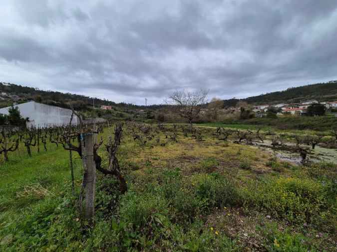 Terreno para Venda em Almalagues Foto 4