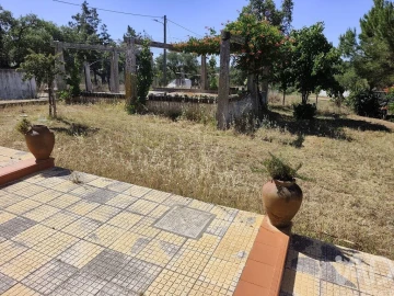 Quinta T4 para Venda em Abela