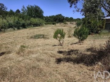 Quinta T4 para Venda em Abela