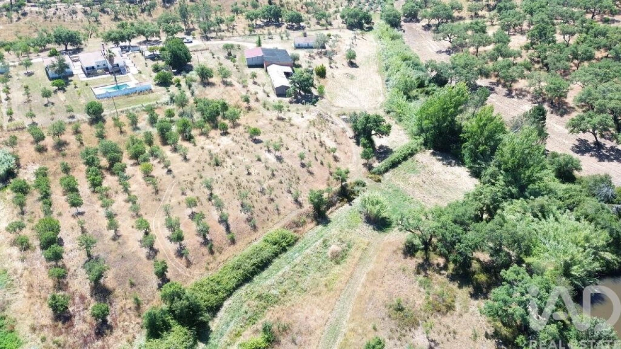 Quinta T4 para Venda em Abela Foto 34