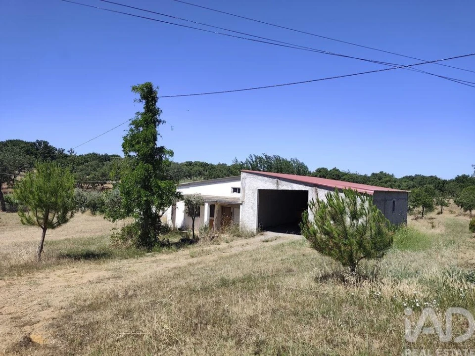 Quinta T4 para Venda em Abela Foto 28