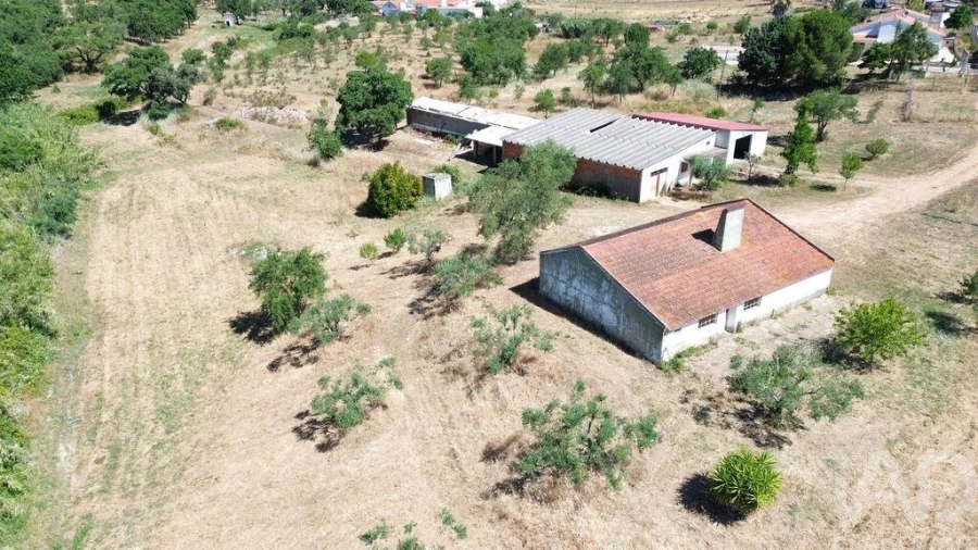 Quinta T4 para Venda em Abela Foto 30