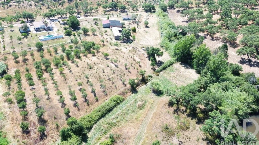 Quinta T4 para Venda em Abela Foto 34