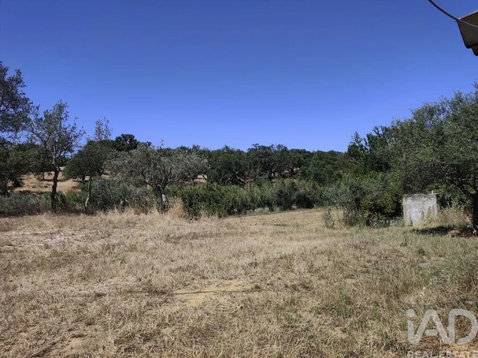 Quinta T4 para Venda em Abela Foto 33