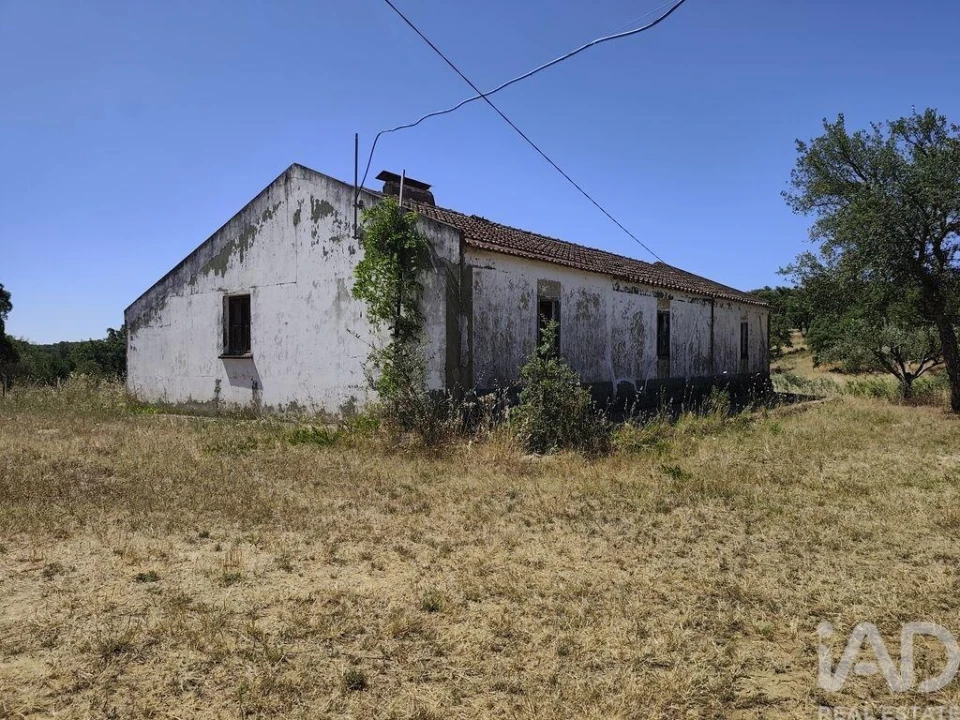 Quinta T4 para Venda em Abela Foto 26