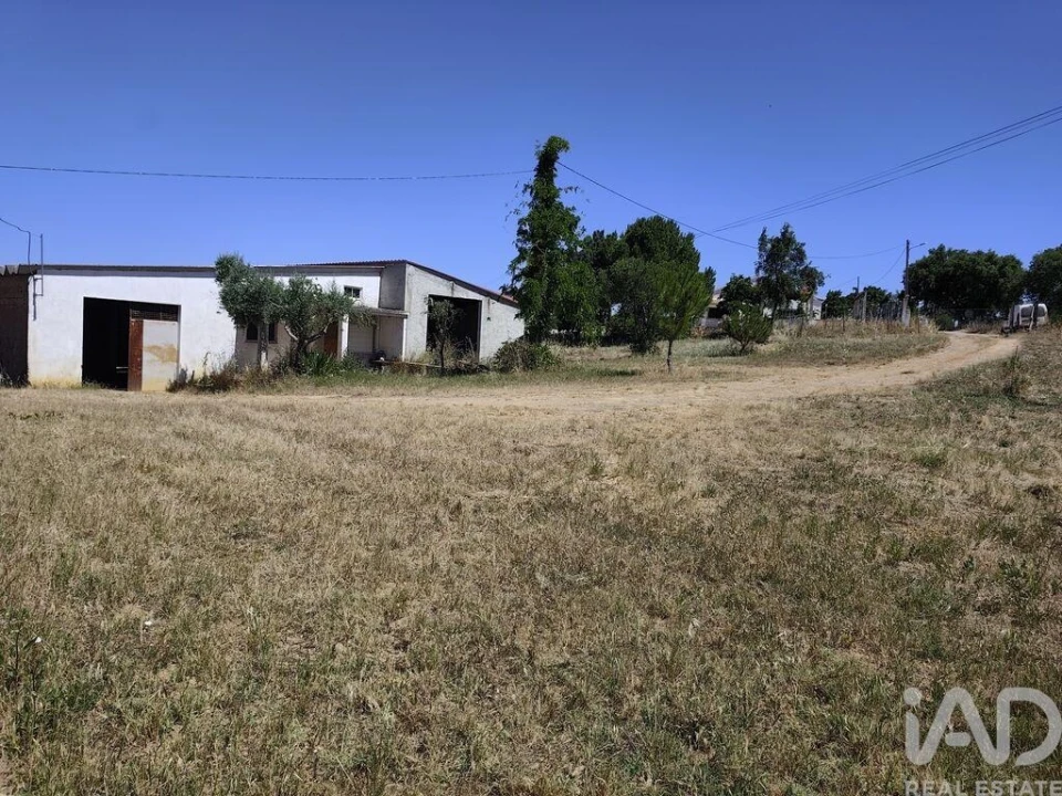 Quinta T4 para Venda em Abela Foto 27