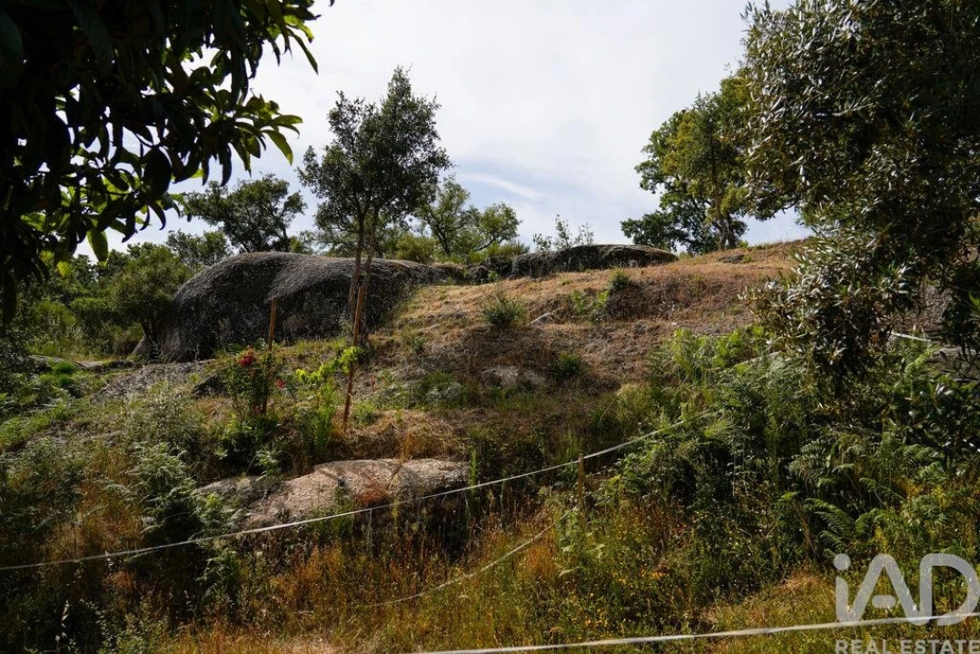 Quinta T1 para Venda em Midões Foto 40
