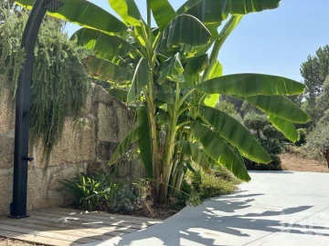 Quinta T1 para Venda em Midões