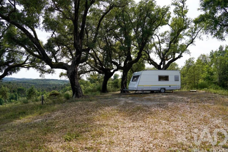 Quinta T1 para Venda em Midões Foto 38
