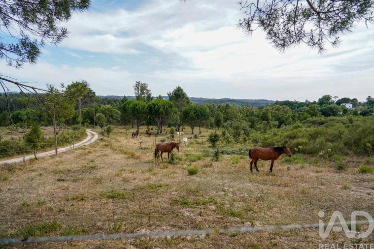Quinta T1 para Venda em Midões Foto 36