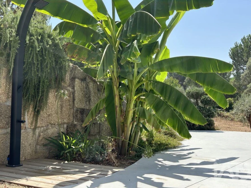 Quinta T1 para Venda em Midões Foto 20