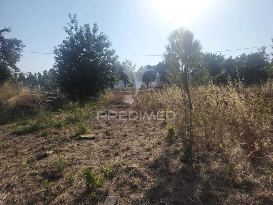Terreno para Venda em Beco Foto 11