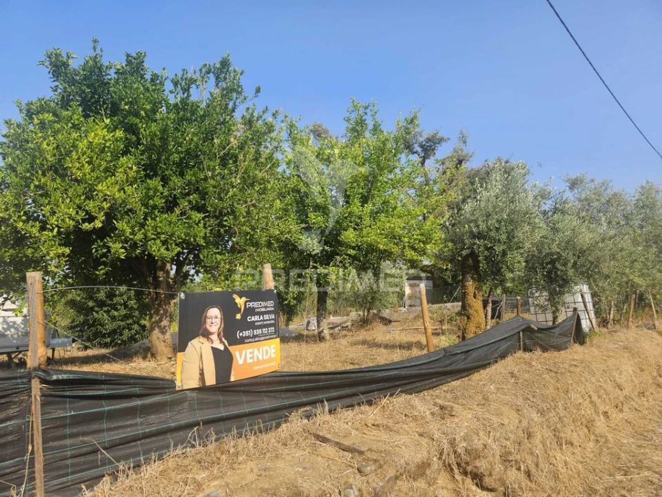 Terreno para Venda em Beco Foto 4