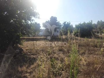 Terreno para Venda em Beco