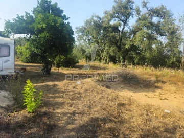 Terreno para Venda em Beco