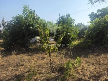 Terreno para Venda em Beco