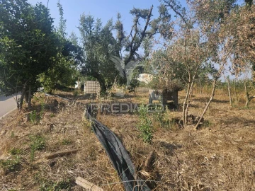 Terreno para Venda em Beco