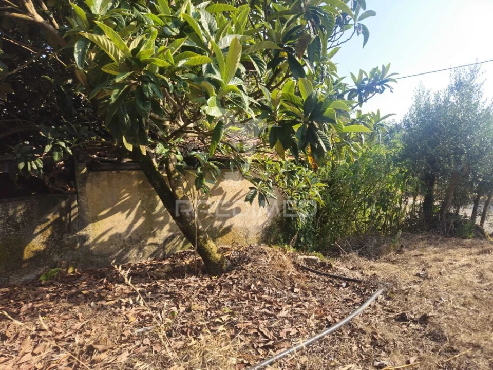 Terreno para Venda em Beco Foto 3