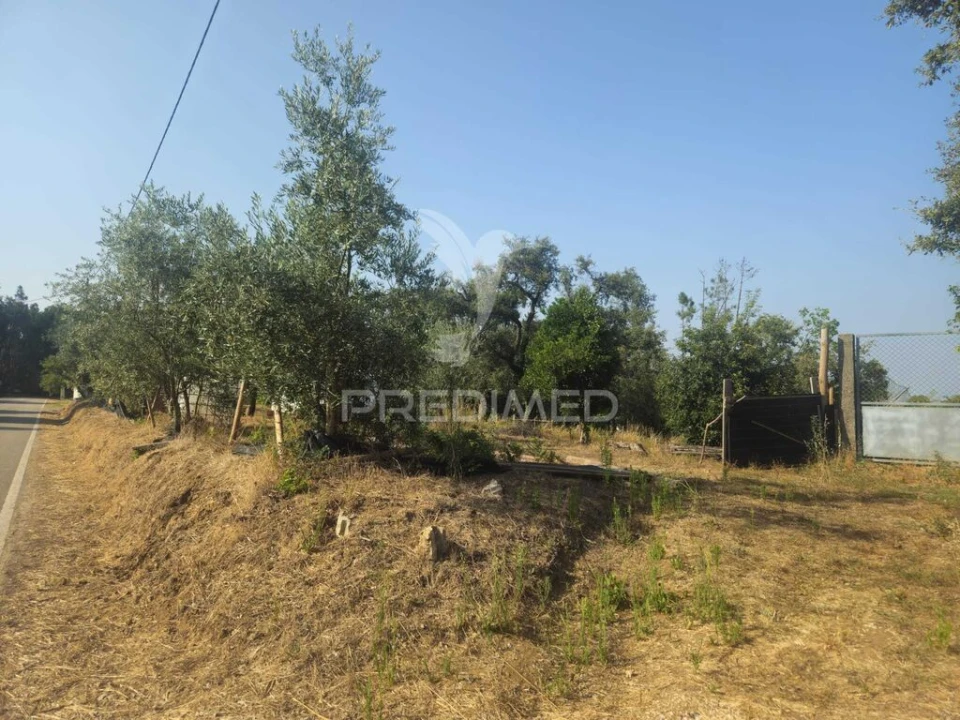 Terreno para Venda em Beco Foto 18