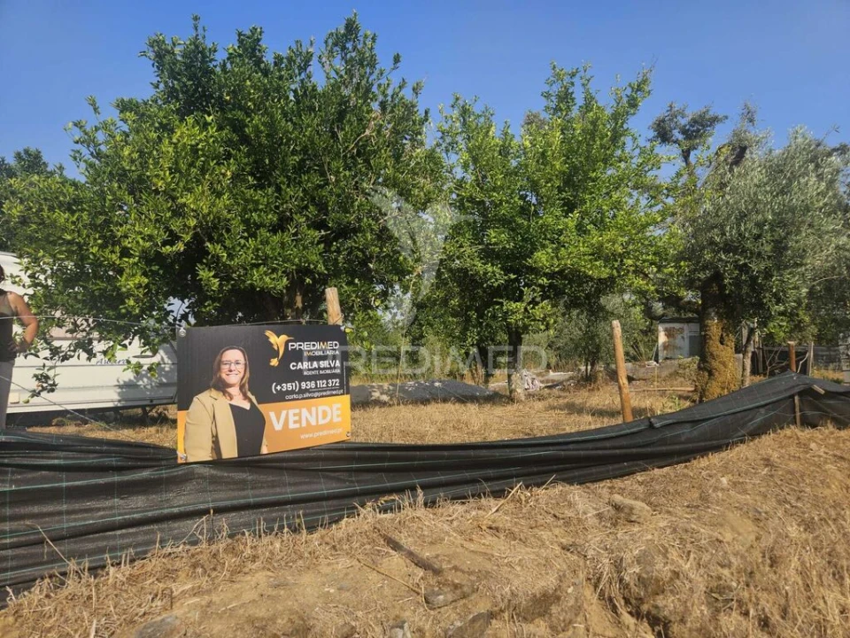 Terreno para Venda em Beco Foto 6