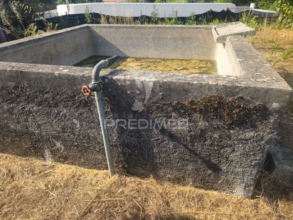Terreno para Venda em Beco Foto 5