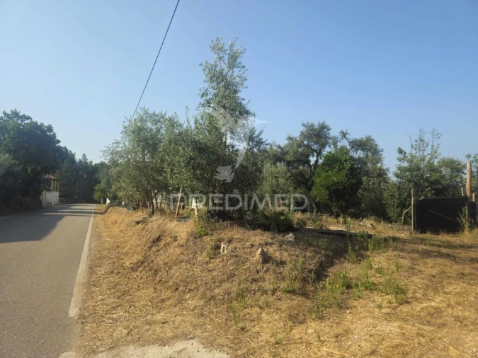 Terreno para Venda em Beco Foto 17